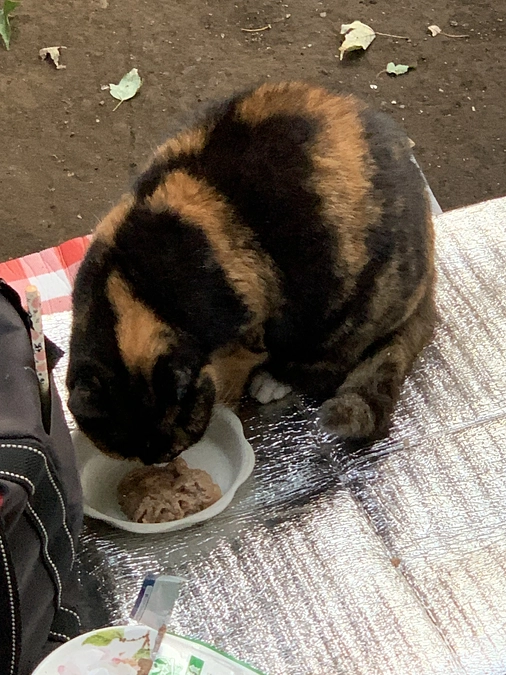 11月30日23時まで、よろしくお願いします。