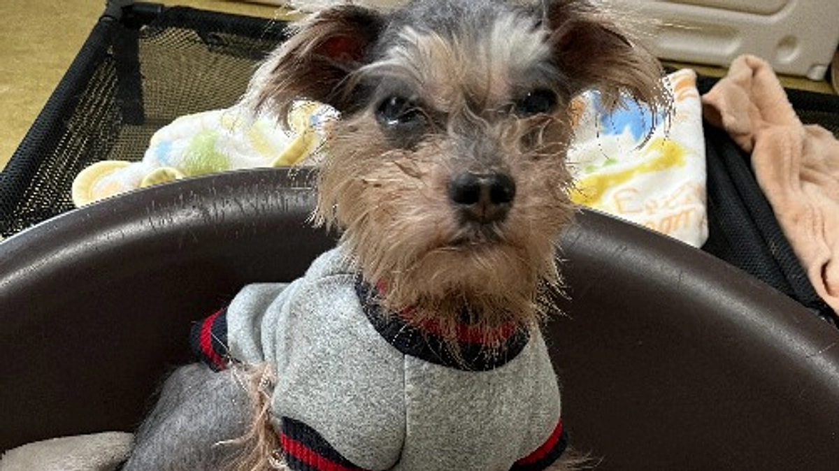 9月・10月の収支報告