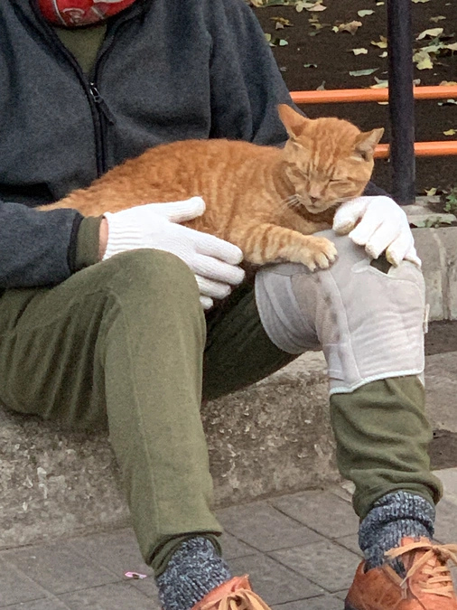 朝の公園の様子です。11月24日。