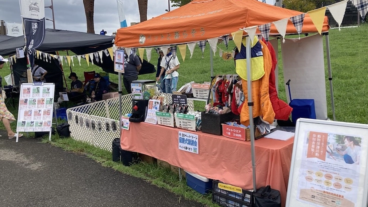 保護犬猫たちにより広く快適な居場所を｜第二のシェルター建設へ 3枚目