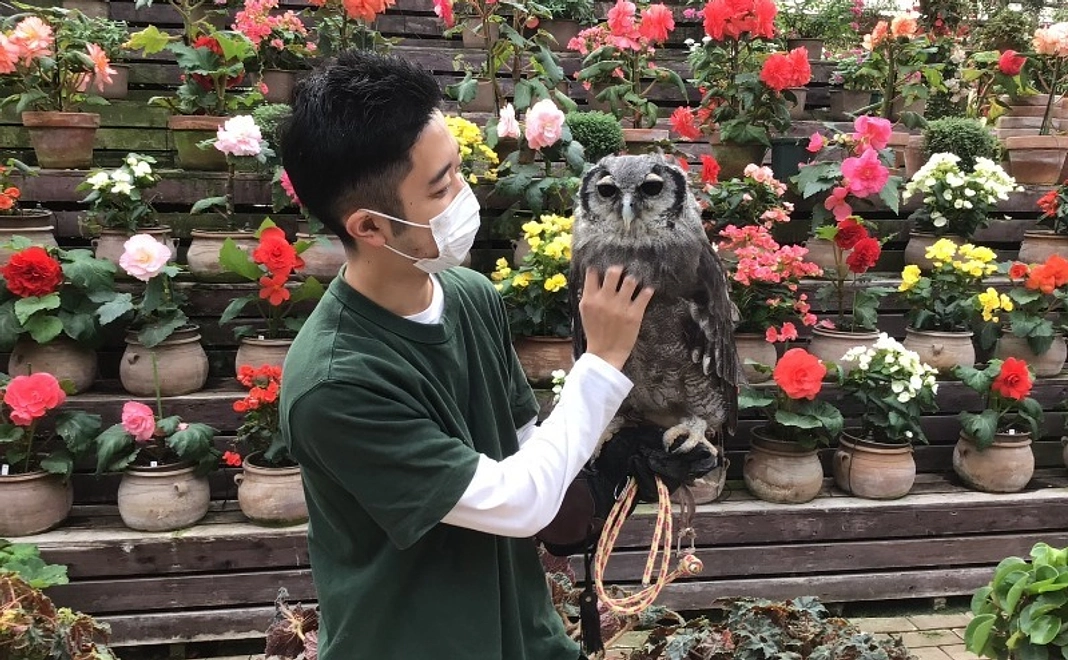 【3千円お気持ちコース】スタッフから感謝のメールをお送りします