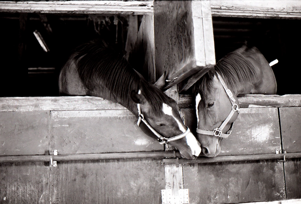 残り15日となりました！　褒め言葉は口に出して！