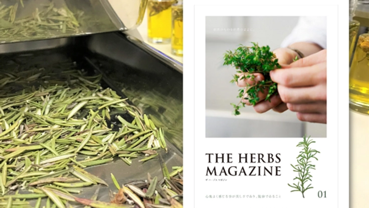 髪の美と健康を守る「髪とハーブの情報紙」を発刊したい