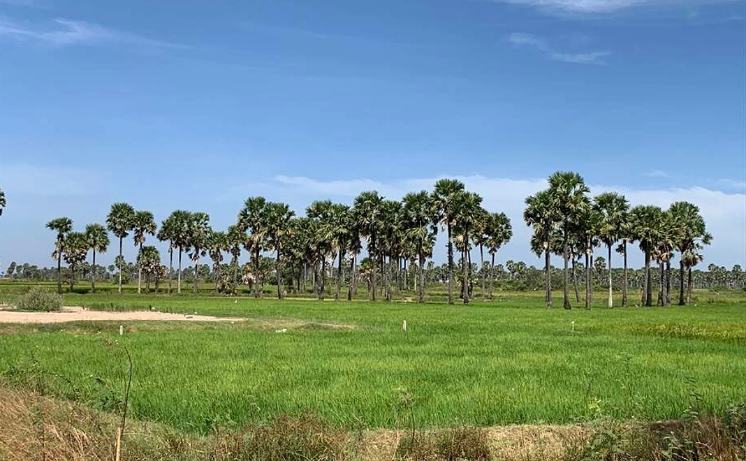 ステルス支援(ノーリターン)