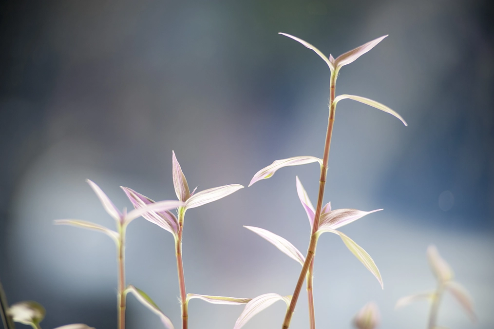 のこり１日となりました...