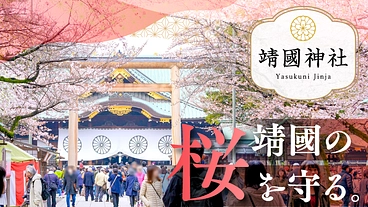靖國神社の桜を守る。減衰する樹々を手入れし次代へ繋ぐ｜一期支援募集 のトップ画像