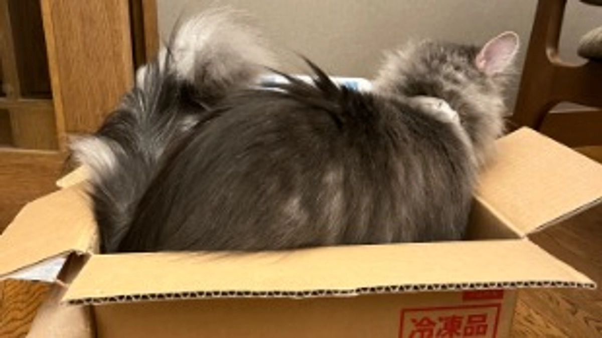 3クール目　入院治療費明細