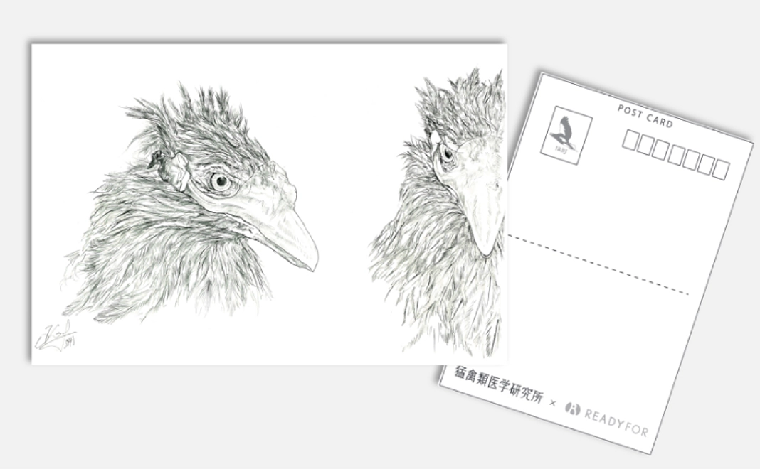 ポストカード クラファン限定Ver. 3枚セット