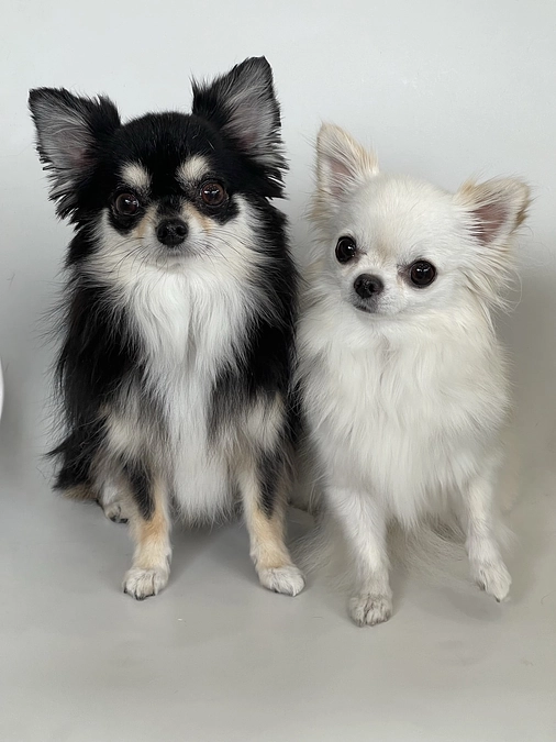 出演トークをこちらでお聴きいただけます