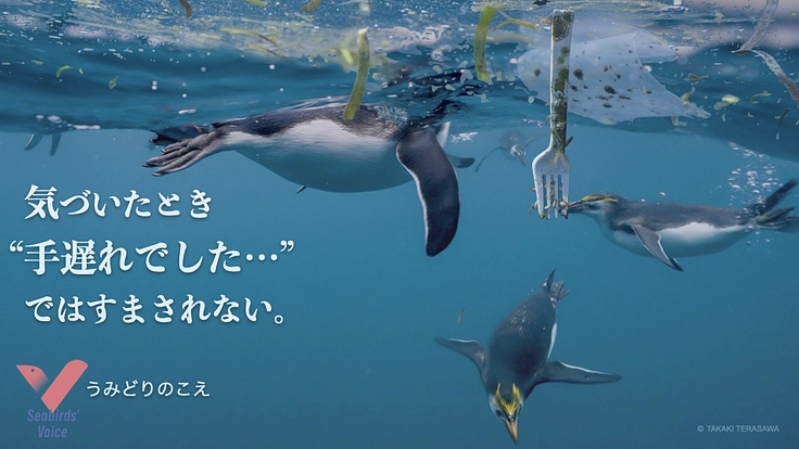 『うみどりのこえ』入会のご案内|海鳥から海や地球の環境を伝えます。