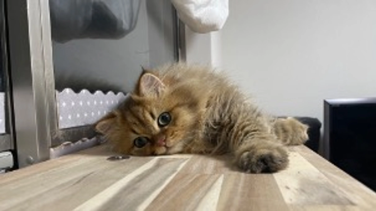 通院の日でした！