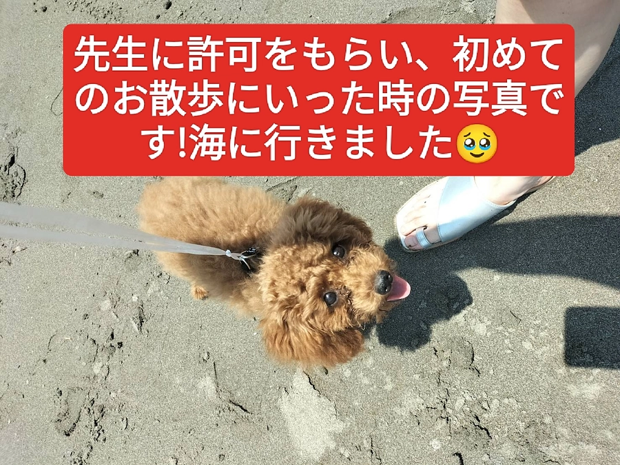 残り8時間を切りました。