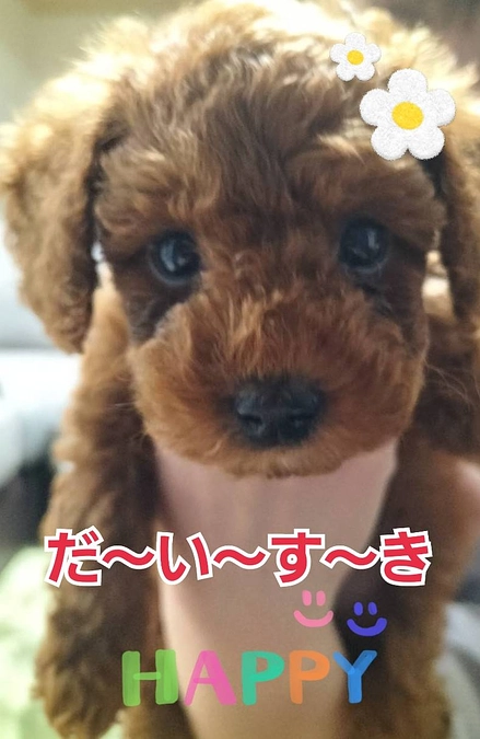 残り5時間となりました。