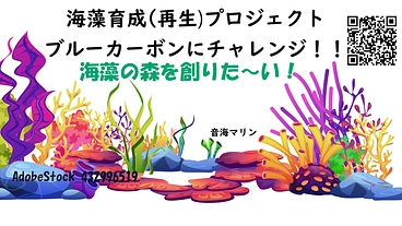 海に『海藻の森』を創りたい !　SDGs ブルーカーボンに挑戦！ のトップ画像