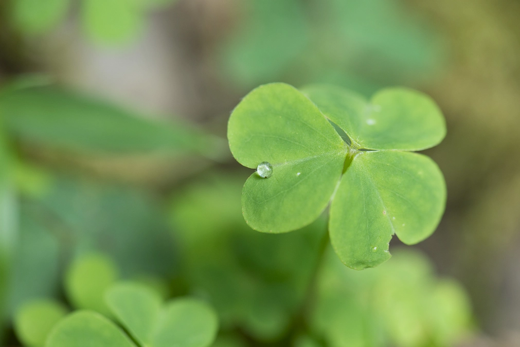 のこり6日。遠方から撮影にお越しいただきました。