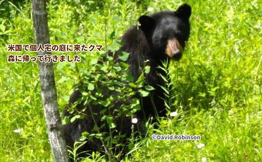 2000円サポーター