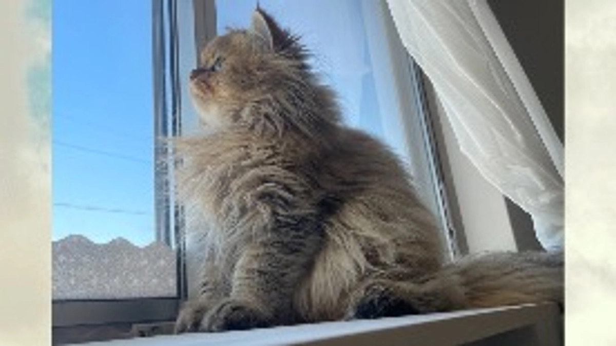 寒くなりましたね