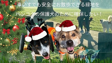 タイ国バンコクの保護犬が安全にお散歩出来る緑地ドックランを確保！ のトップ画像