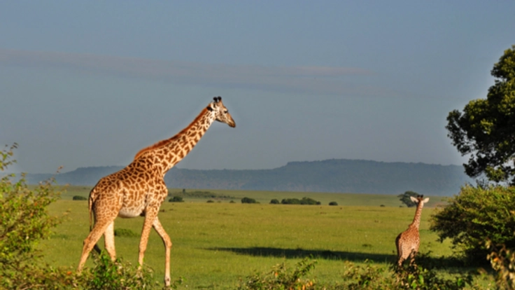 動物たちを解放したい!日本一周!動物園水族館調査【南日本編】