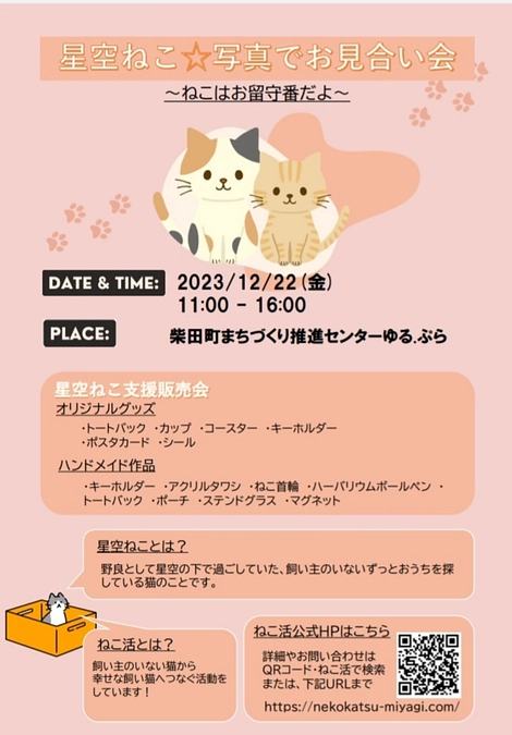 新しい企画のお知らせ