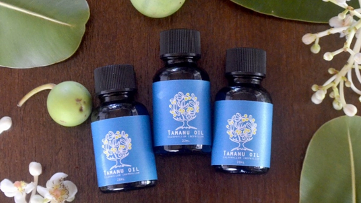 池間島の美しい自然と暮らしを守る、タマヌオイルを商品化したい