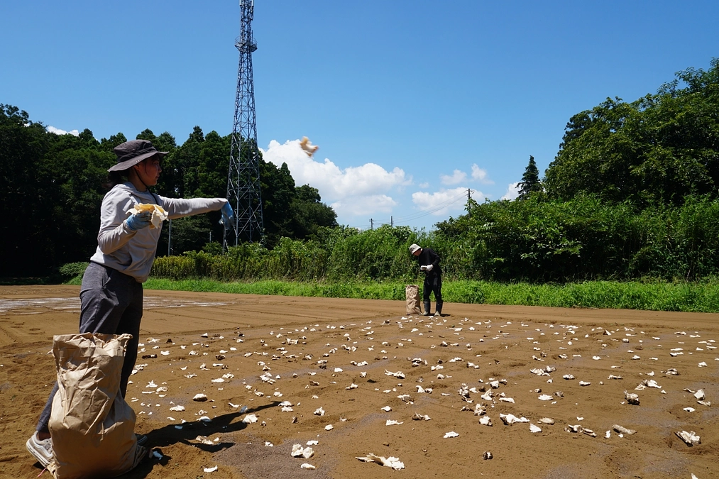これまでの進捗③畑に散布した様子！