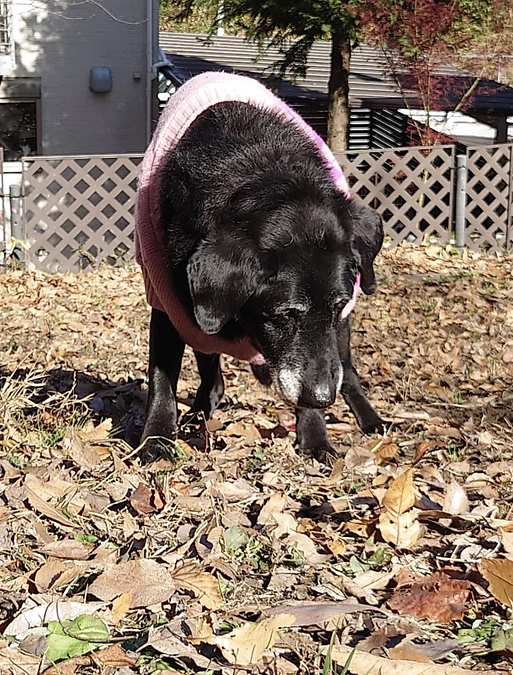 🎂今日は何の日❓