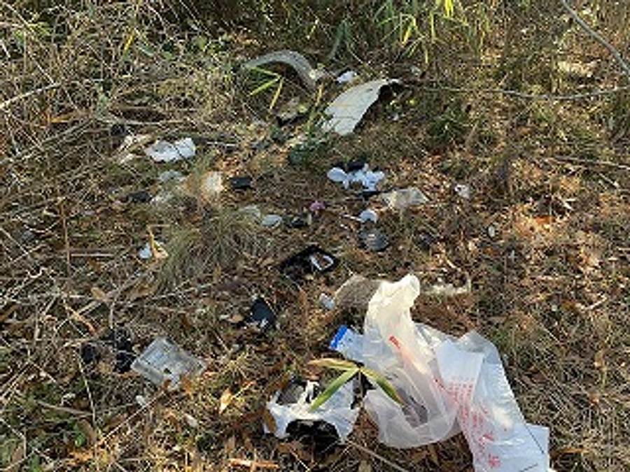 猫たちのいる草むらを清掃しました！