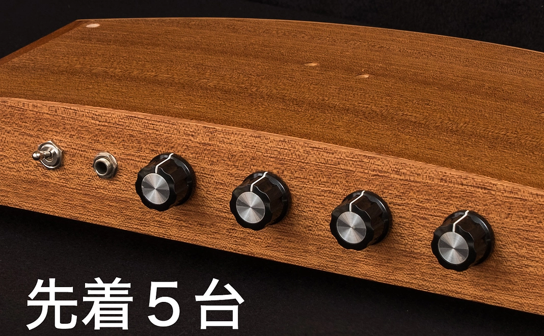 01:先着5台 テルミン スタンダードモデル