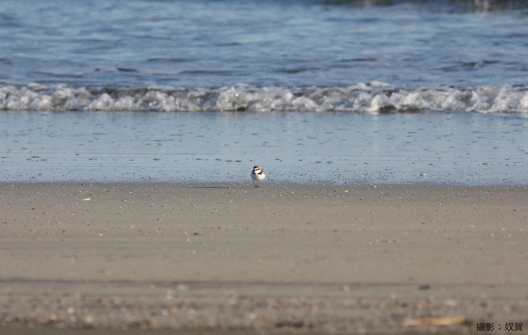 クラウドファンディング開始のご挨拶
