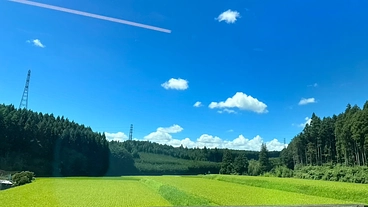 ［地球をいじめないで地球を］歌に込めて伝えたい。 のトップ画像