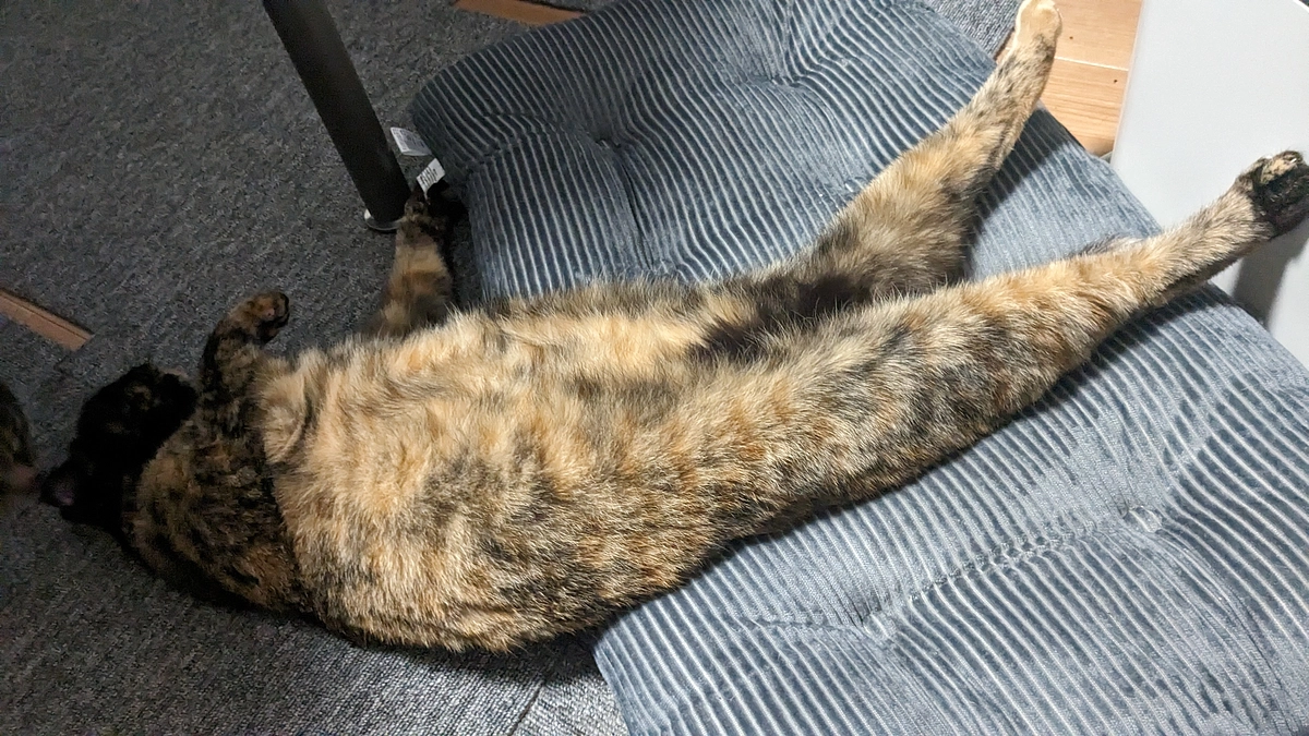 皆さんも風邪やインフルにはお気を付け下さい💦