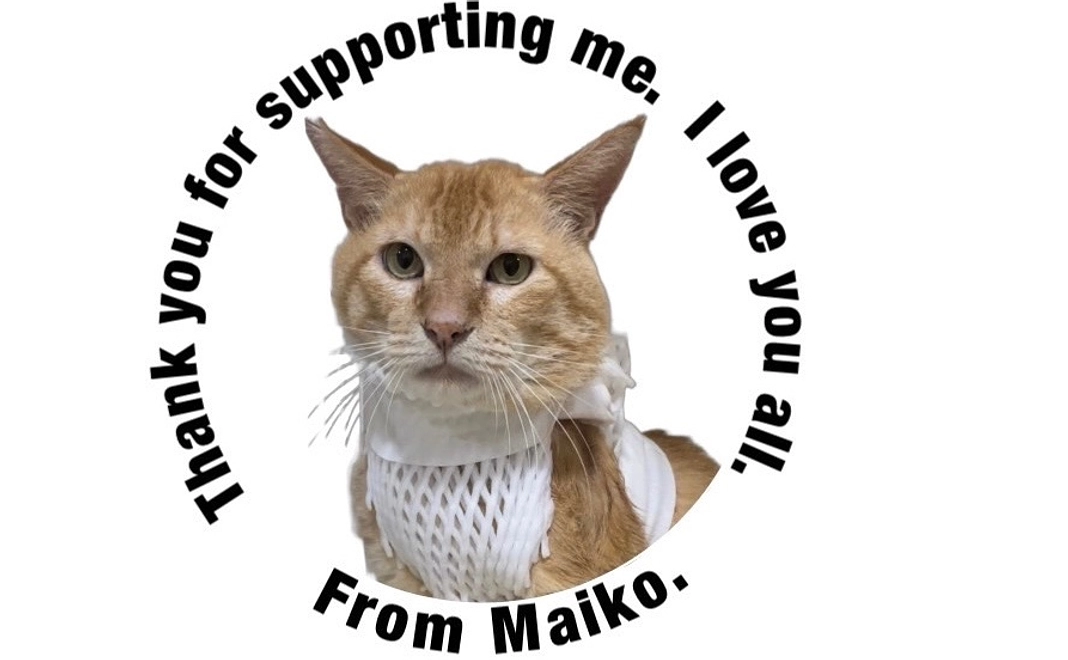 マイコーの応援、ご支援ありがとうございます、