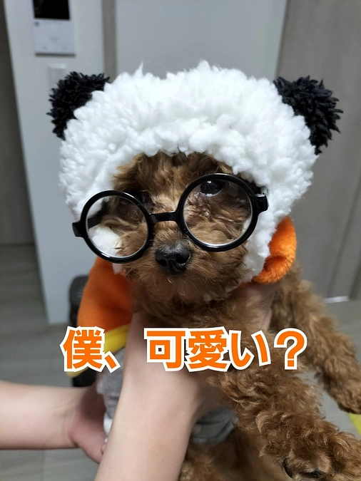 残り3時間となりました。