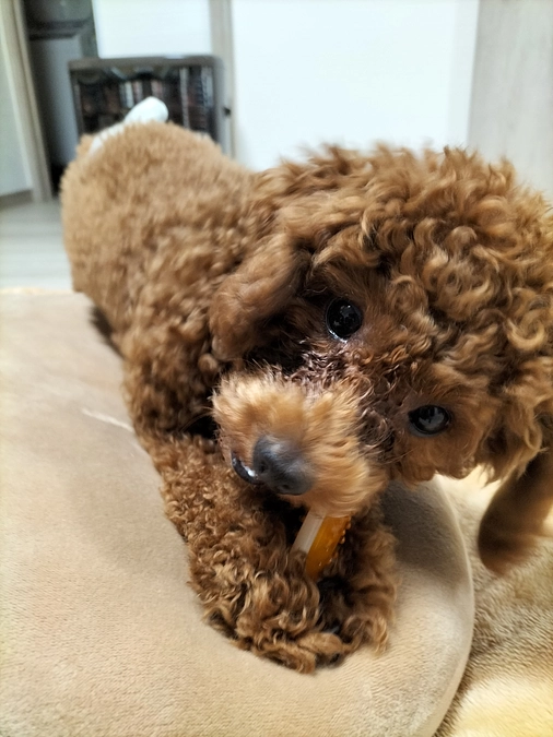 残り2時間となりました。