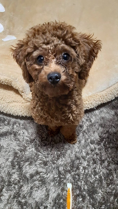 残り1時間を切りました。