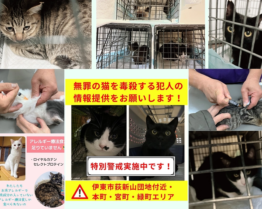 捨てる人が居ても私たちは常に救う人でありたい