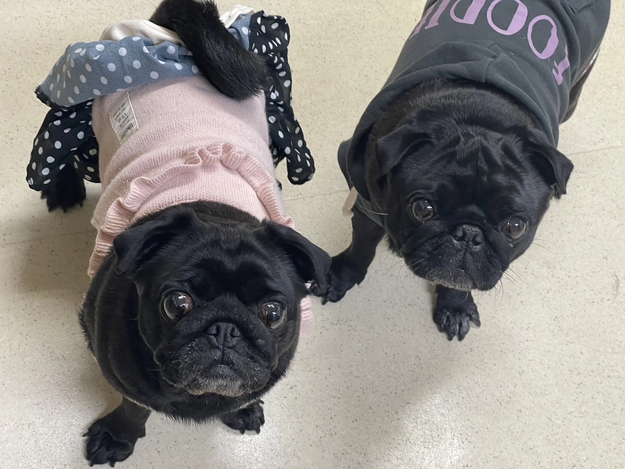 達成のご報告とネクストゴールに向けて