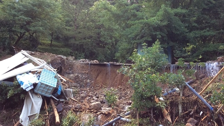 生き残ったアマゴたちの命を次の世代へ繋いでいきたい/西予市