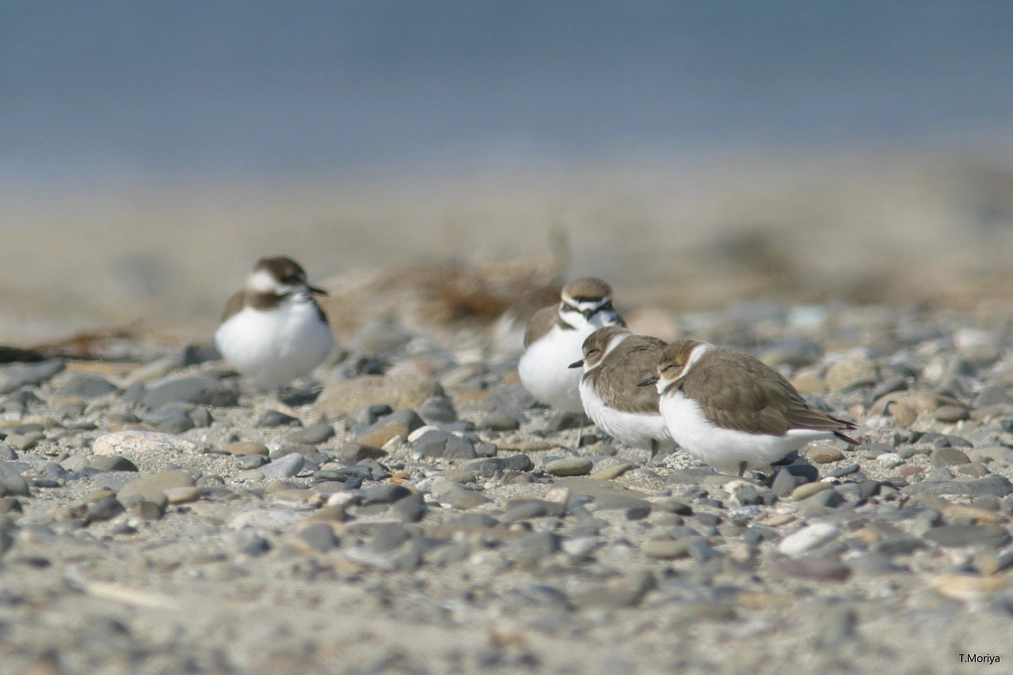 たくさんのご支援をありがとうございます！