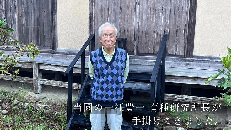 加茂荘花鳥園|安らぎの空間を守り継ぐ。古寺周辺をアジサイの原木園に 4枚目