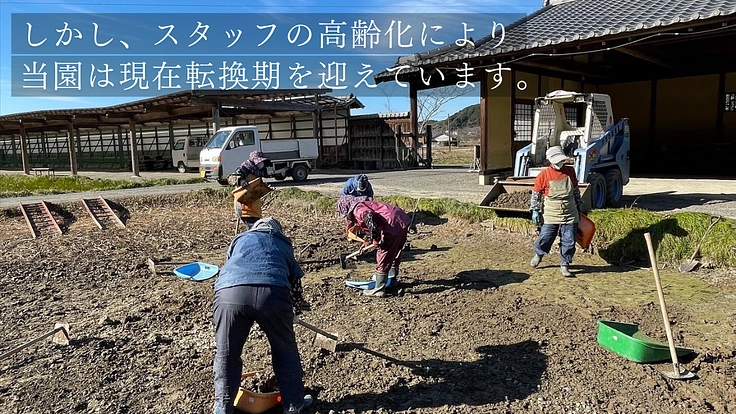 加茂荘花鳥園|安らぎの空間を守り継ぐ。古寺周辺をアジサイの原木園に 6枚目