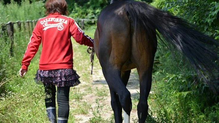 馬たちが安心して過ごせる場所を。ブレーヴステイブルの再起へ。