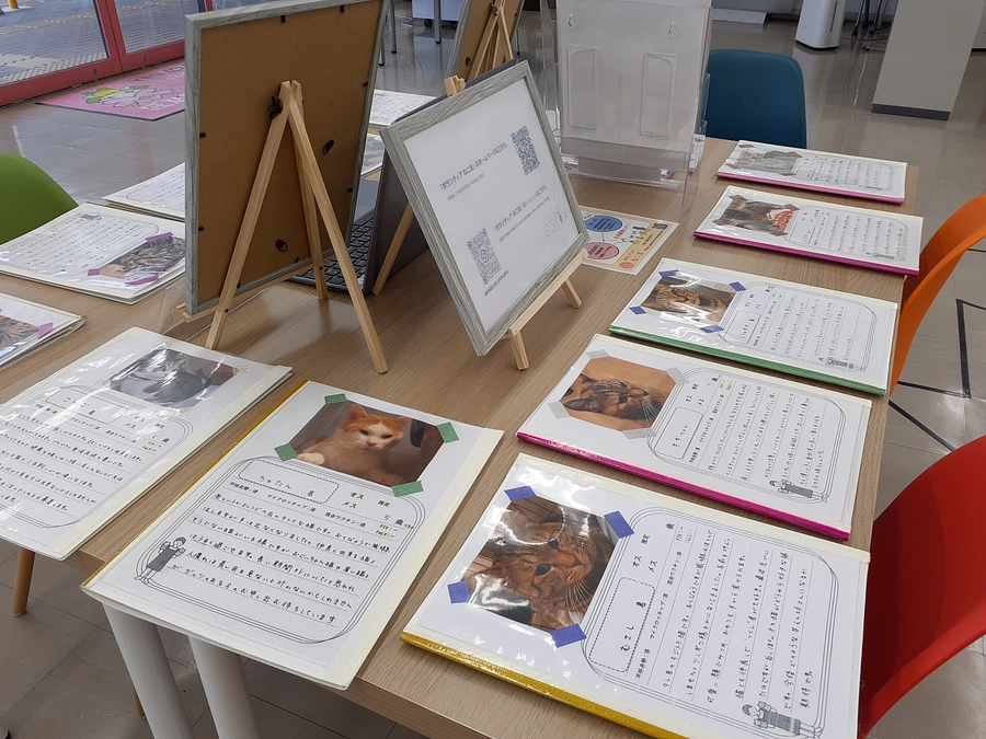 初の試み柴田町ゆるぷら写真でお見合い会のご報告