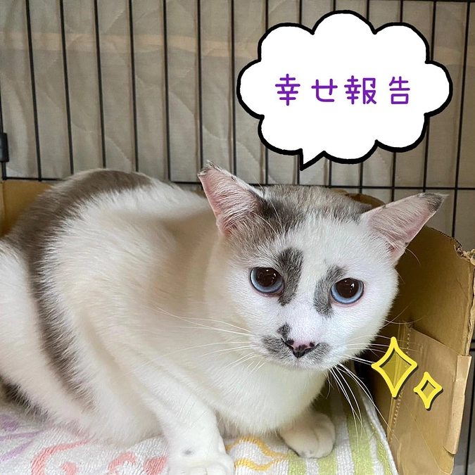 ☆一生の家族　いいね！