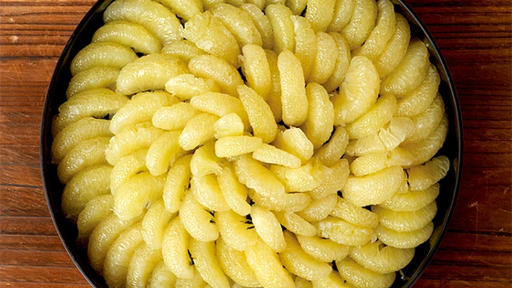 映像制作7年間の集大成として、土佐文旦の魅力を映画で伝える!