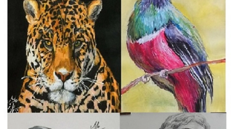 感動を与えられるそんな絵を書き続けたい!! ~16歳の挑戦~