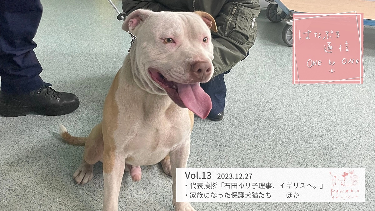 「はなぷろ通信　one by one」Vol.13