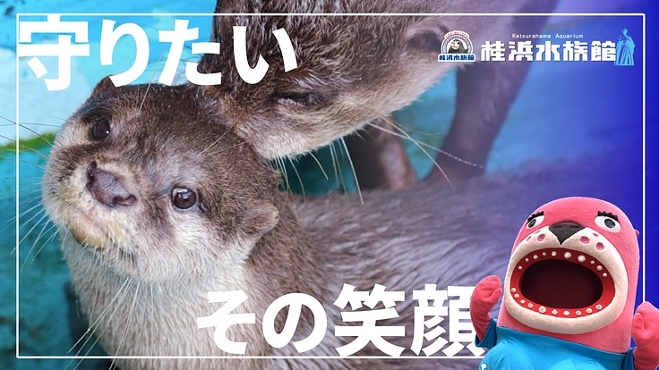 桂浜水族館|カワウソ舎、なんか変えるで大作戦!!!!