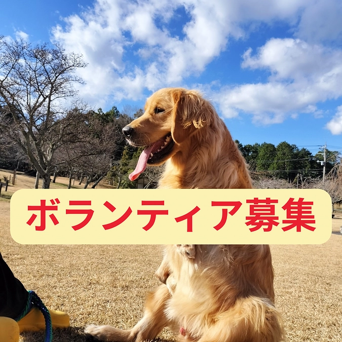 【ボランティア募集】